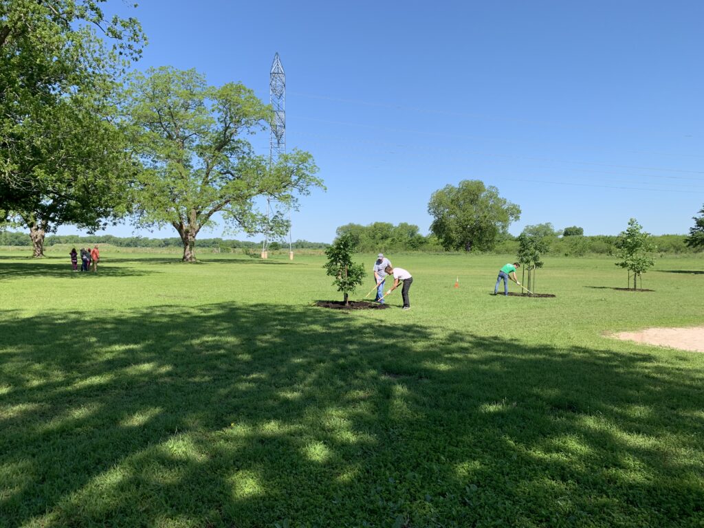 4.26.19_TreeTLC Webberville_80