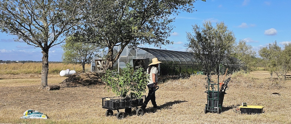 TreeFolks Orchard Work Day — Community in TreeFolks HQ